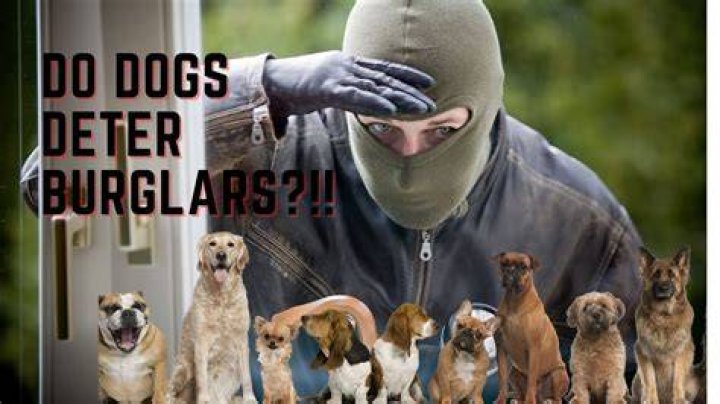 Do barking dogs deter burglars?