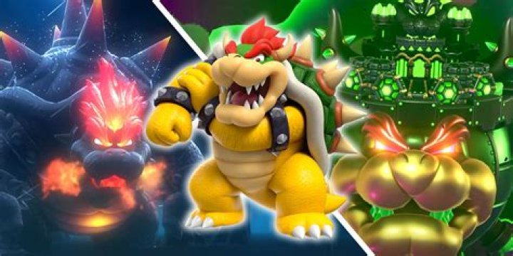 Does Bowser go away after 40 cat shines?