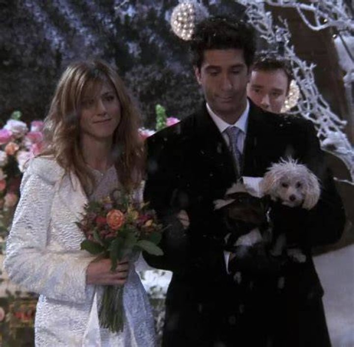 Does Rachel and Ross get married again?