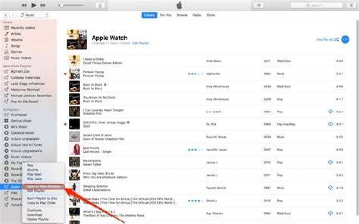 How do you make a new playlist on iTunes?