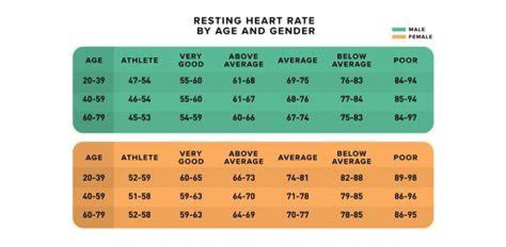 Is a resting pulse of 47 too low?
