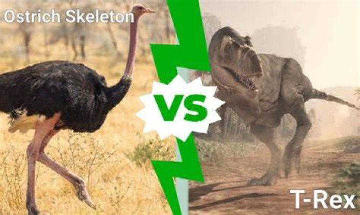 Is Ostrich related to T. rex?