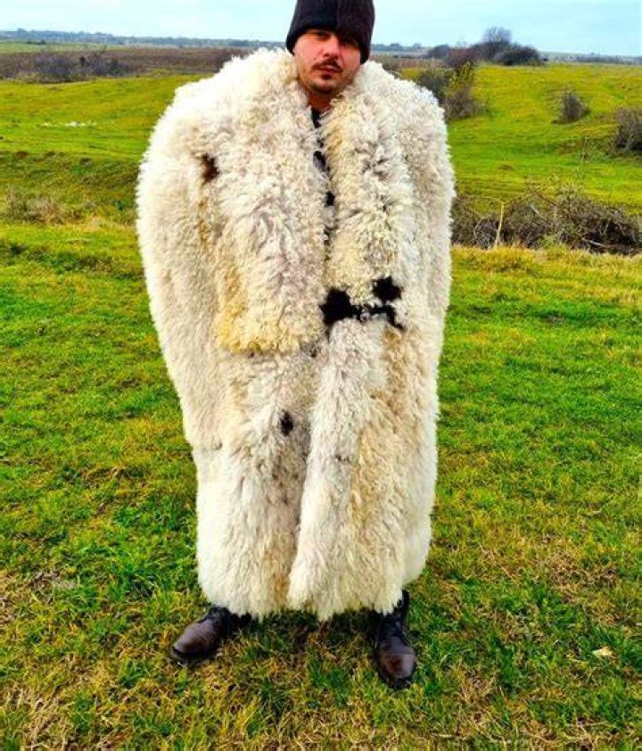 Is wearing sheepskin cruel?