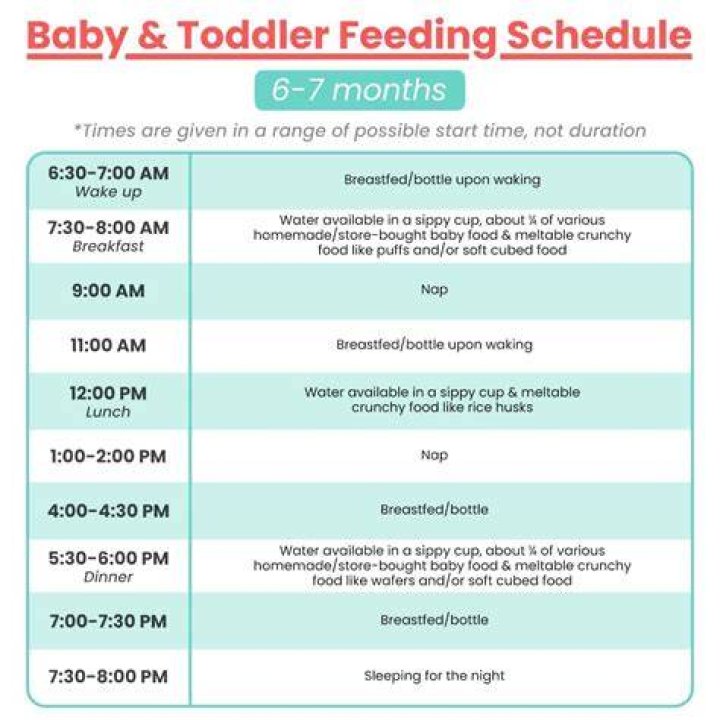 What should a 7 month olds eating schedule look like?