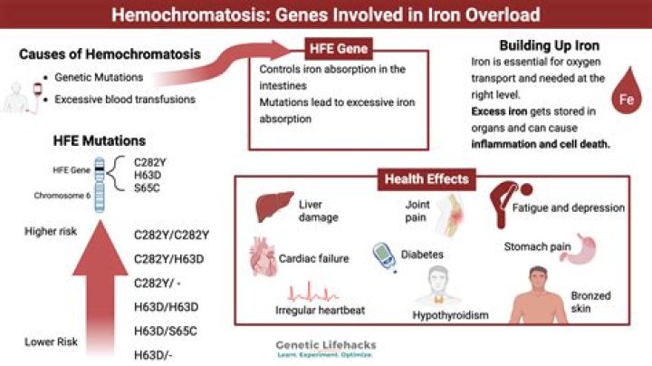 What triggers hemochromatosis?