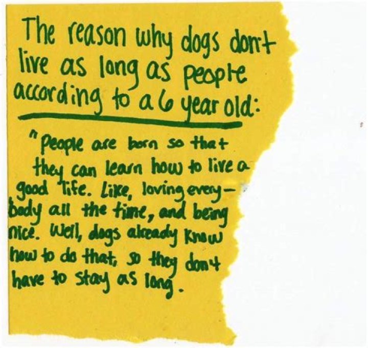 Why do dogs live short lives?
